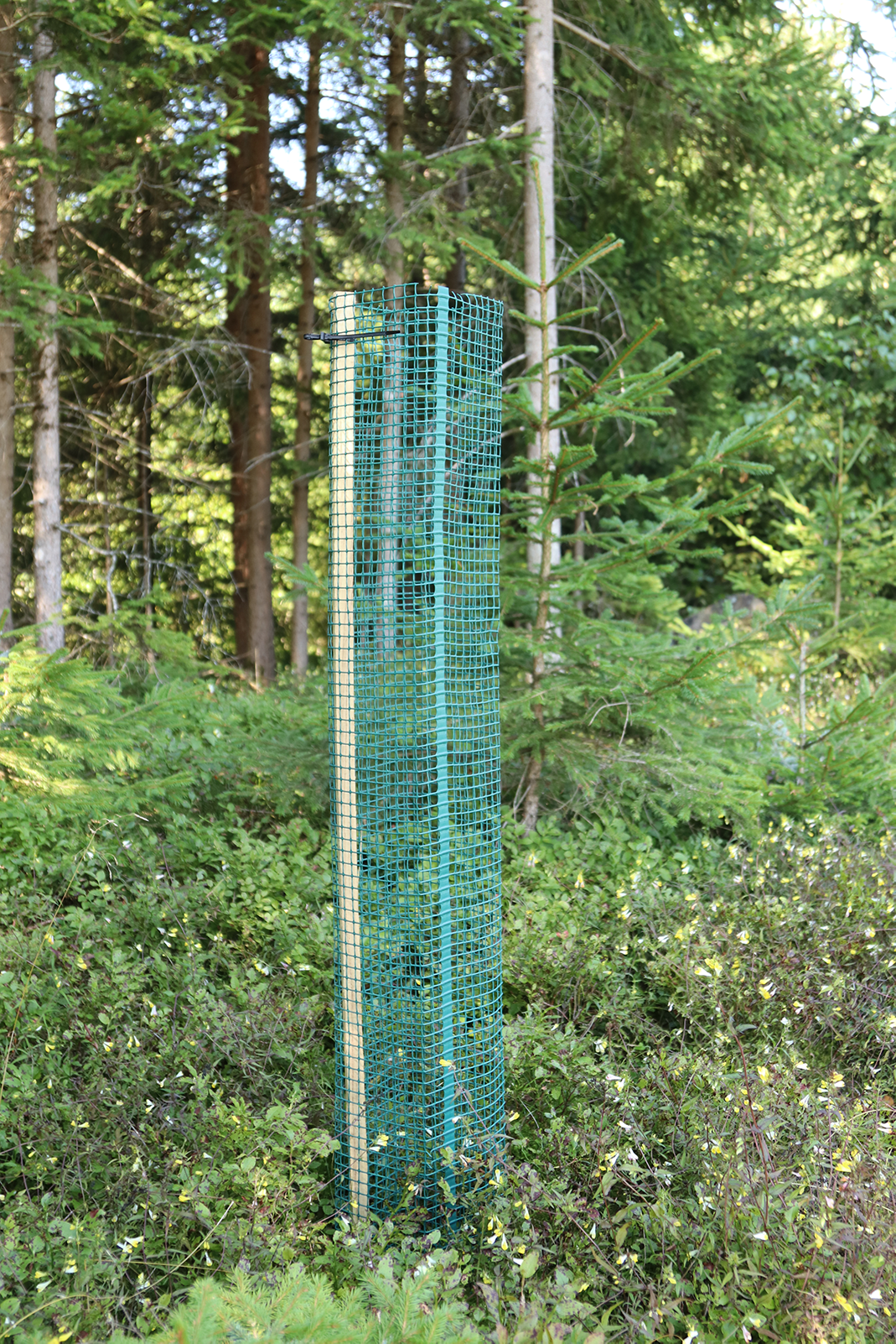 Baumschutzgitter 300 Nadelholz 120 cm