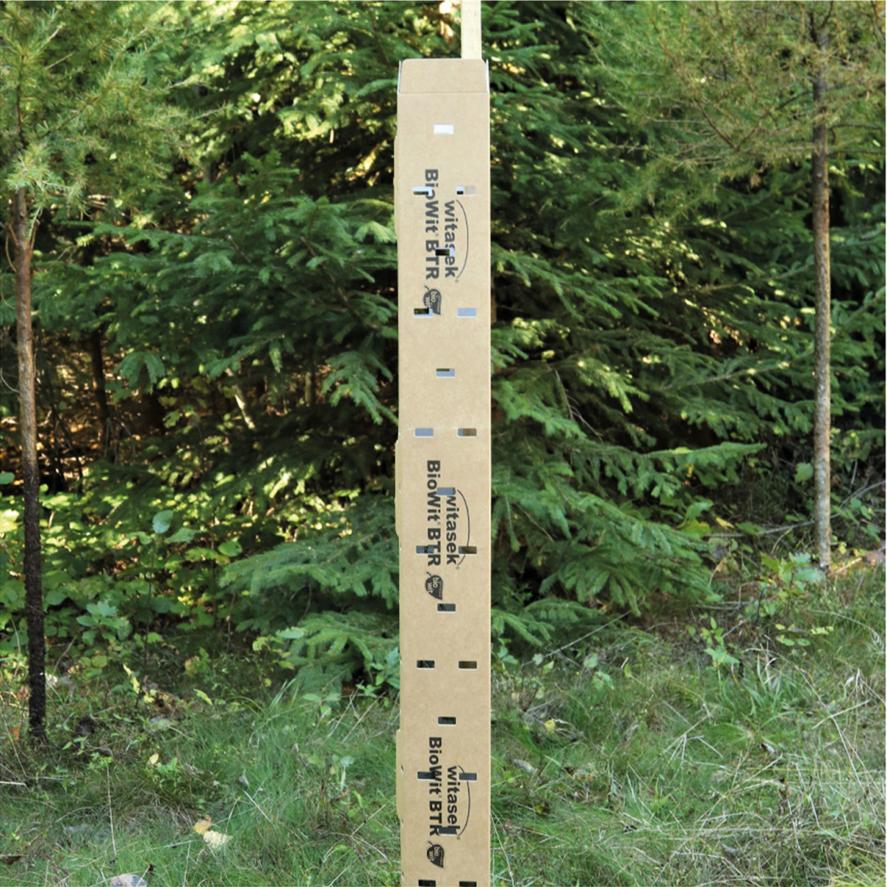 Baumschutzsäule BIO Laubholz 120cm